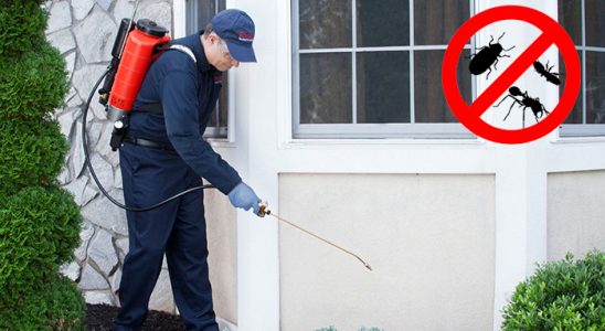 Vize Hamam Böceği İlaçlama böcek ilaçlama ve haşere kontrolü — ilaclama-tr.com